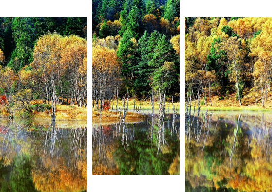 ���ѻ� ��(�й���)���޹�˾����